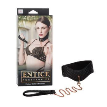 Entice Posture Collar with Leash