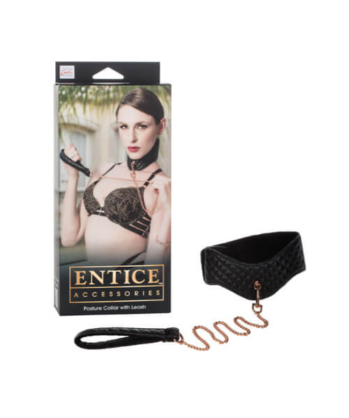 Entice Posture Collar with Leash