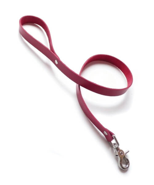 KinkLab Pink Bound Leather Leash