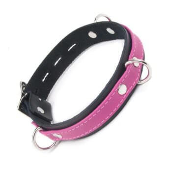 Joanna Locking Buckle Collar