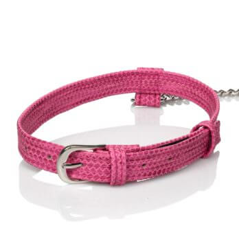 Tickle Me Pink Collar With Leash