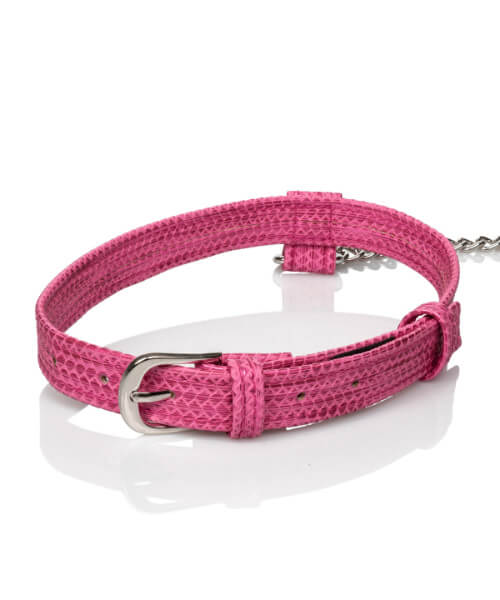 Tickle Me Pink Collar With Leash