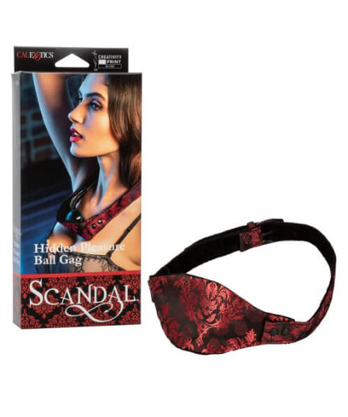 Scandal Hidden Pleasure Ball Gag