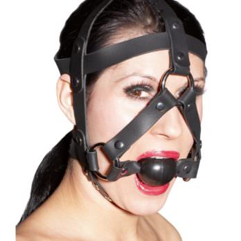 Leather Head Harness and Gag