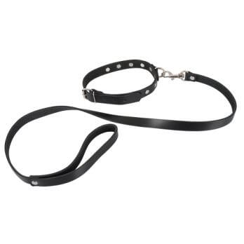 Leather Collar and Leash