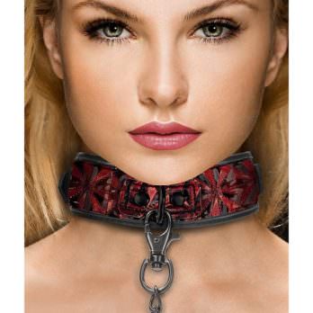 Luxury Collar with Leash