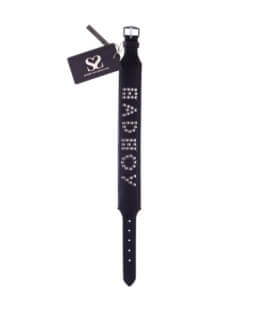 Bound X Bad Boy Studded Collar