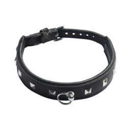 Grain Leather Collar with Ring & studs