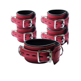 Bound X Leather Cuffs and Collar Set