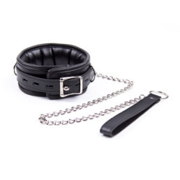 Soft Padded Collar And Leash