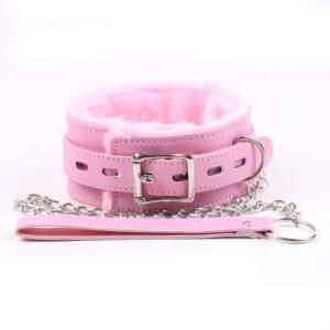 Premium Collar with Leash