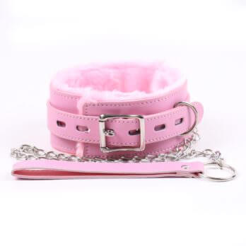 Premium Collar with Leash