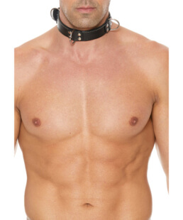 Deluxe Bondage Collar