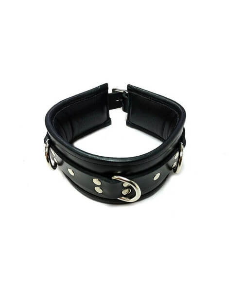 Leather Padded Collar