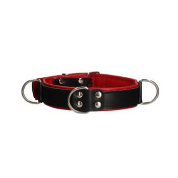 Deluxe Bondage Collar