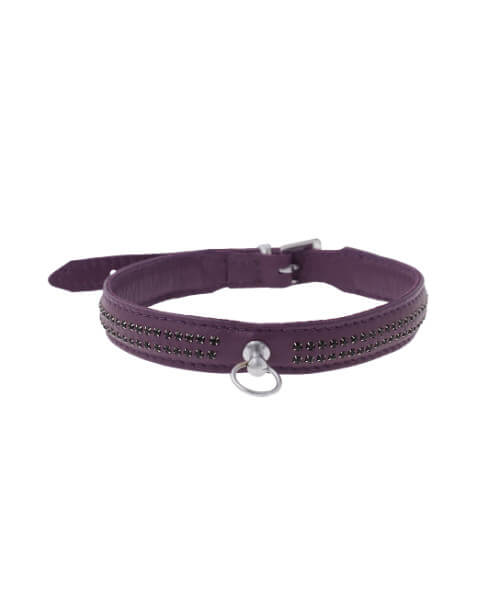 Zorba International Thin Collar With Two Gem Rows - Purple leather