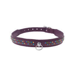 Zorba International Thin Collar With Two Gem Rows - Purple leather