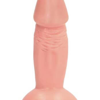 4 Inch Realistic Dildo