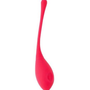 Eyden Vibrating Kegel Egg - Eyden by Share Satisfaction