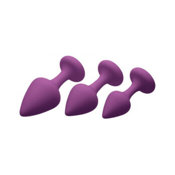 Purple Pleasures 3 Piece Silicone Anal Plugs -