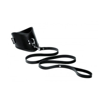 Leather Posture Collar With Leash -